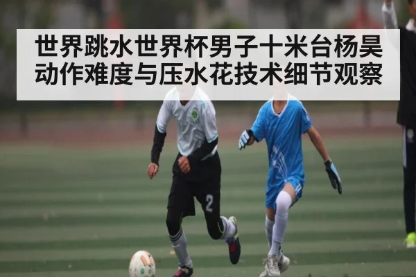世界跳水世界杯男子十米台杨昊动作难度与压水花技术细节观察